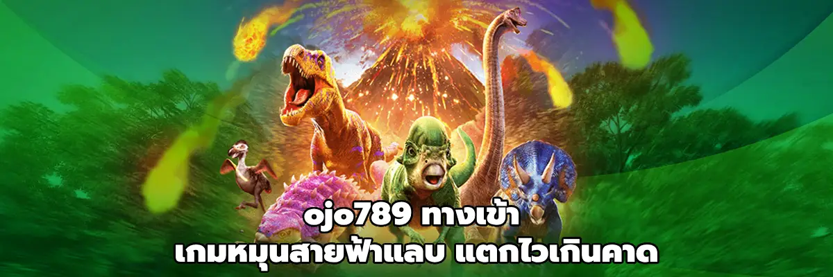 ojo789 ทางเข้า